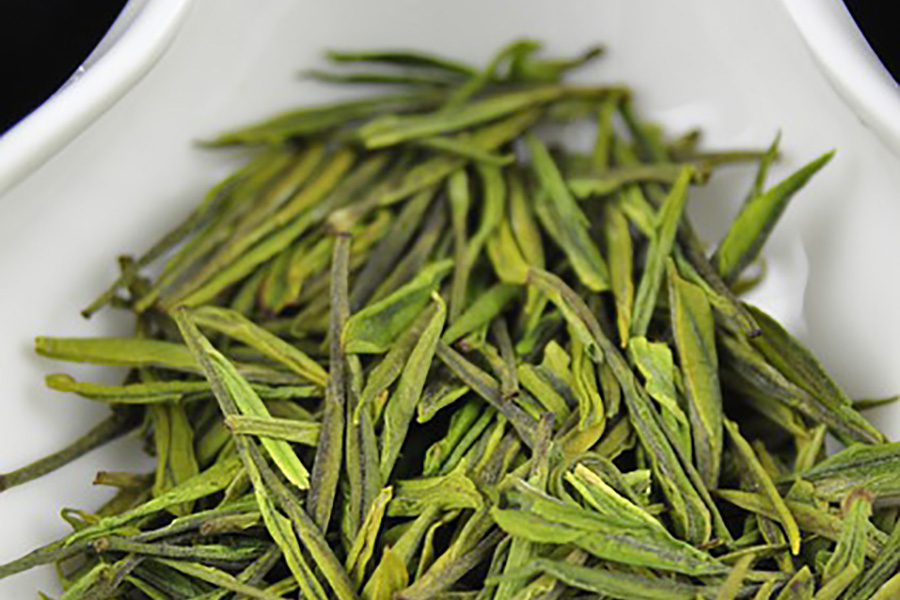 thé-vert-bio