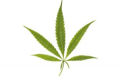 Quels critères pour choisir le e-liquide au CBD ?