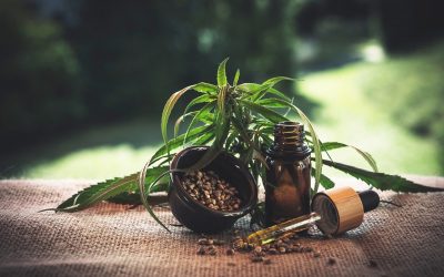 Le cannabis et le CBD en France et dans l’Union Européenne