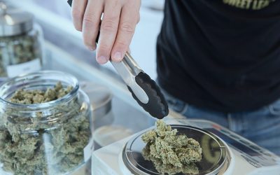 Est-il possible de trouver du CBD en pharmacie ce jour ?