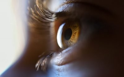 Dégénérescence maculaire : pourquoi utiliser une loupe électronique ?